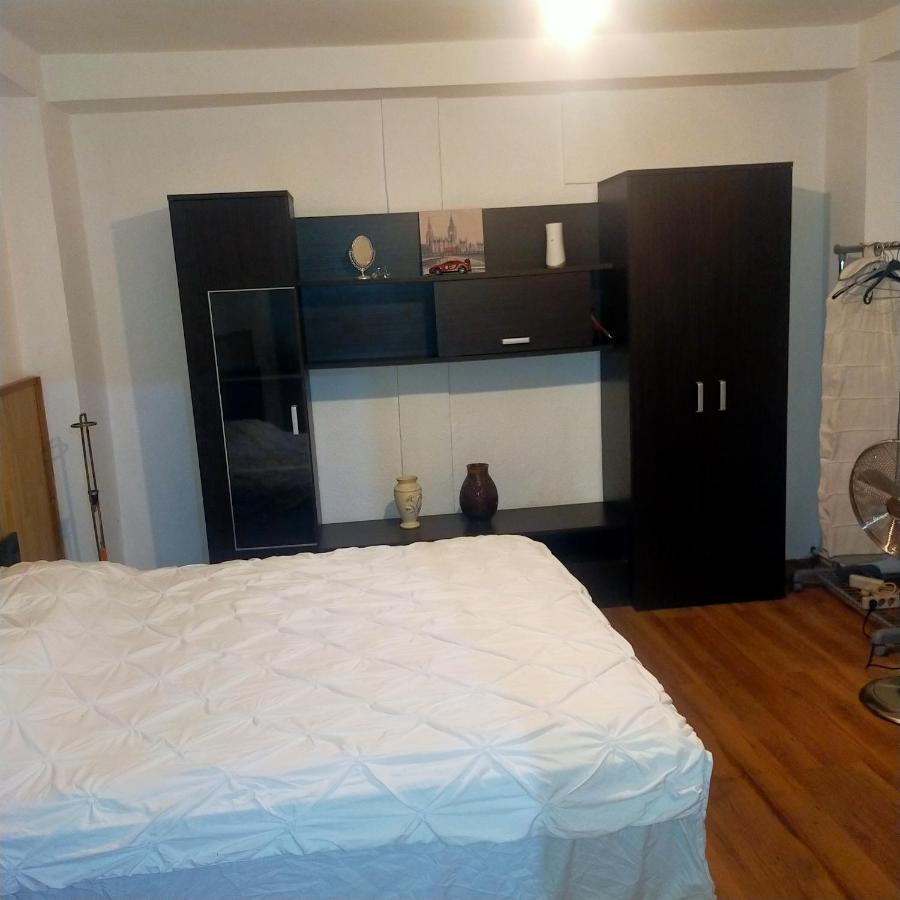 Vila Elena Ap 1 Bukarest Exteriör bild